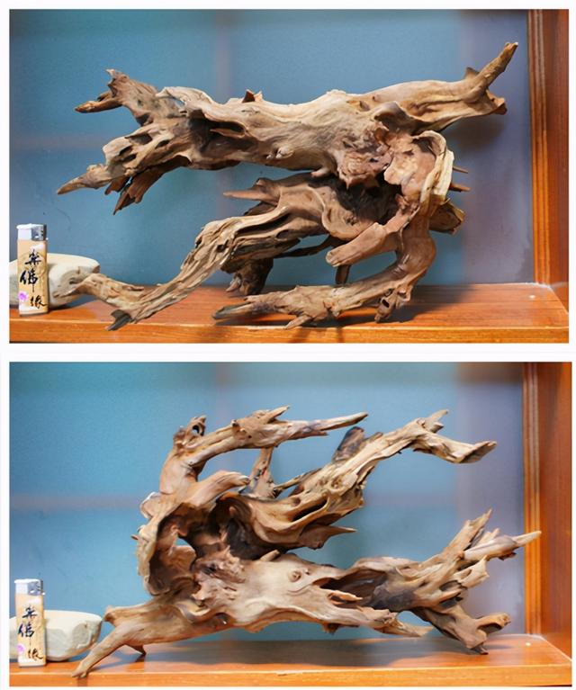 鱼缸底部铺什么好，鱼缸底部铺卵石养什么鱼（如何挑选一个合适自己的鱼缸）