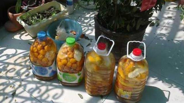 怎样发酵有机肥，教你自制2种“有机肥”