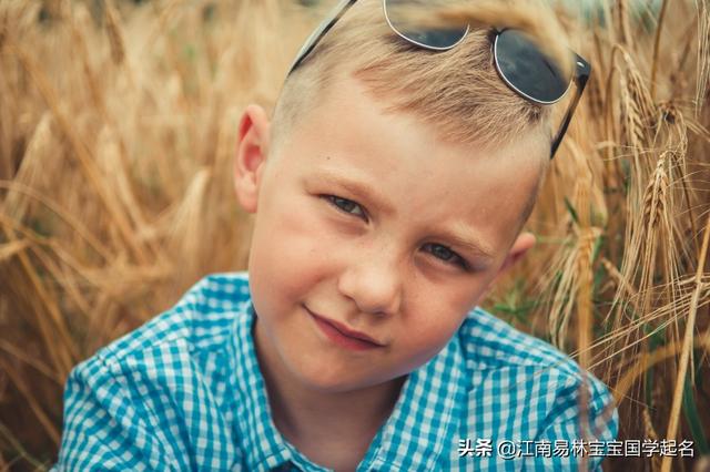 轩的意思和含义，轩意思和含义是什么（200个楚辞里有文采典故的男孩名字）