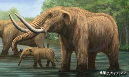 原核生物有哪些，高中生物原核生物有哪些（从原核生命到人类文明）