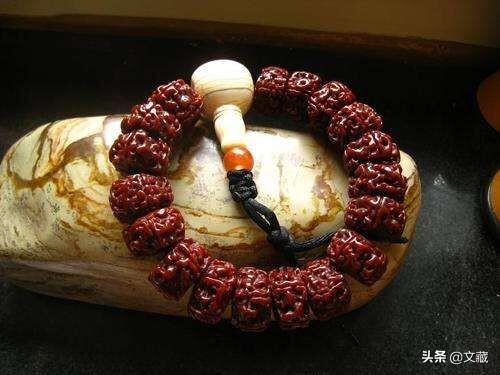 金刚菩提是什么，金刚菩提是什么树的果实（金刚菩提，寓意非凡的佛门圣物）