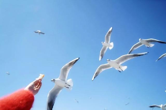 菲律宾长滩岛天气怎么样，菲律宾长滩岛介绍一下（一月份最值得去的旅行地）