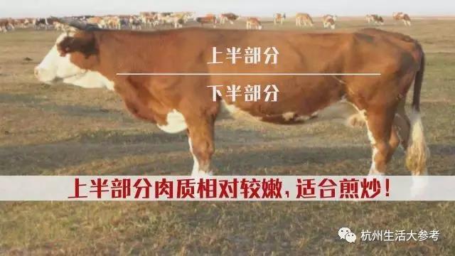 吃牛排的必知小知识，市面上的各种牛排你真的认识