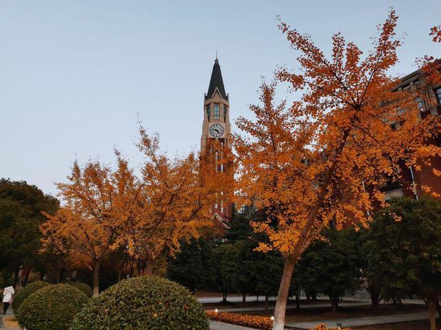 华东政法大学2021年本科录取分数线，2021年上海二本大学分数线排名（不一定录取上海市这4所双非大学）