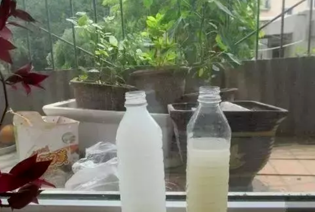 洗米水怎么处理才达标排放，洗米水能杀菌吗（就先将淘米水、菜叶子制作成肥料吧）