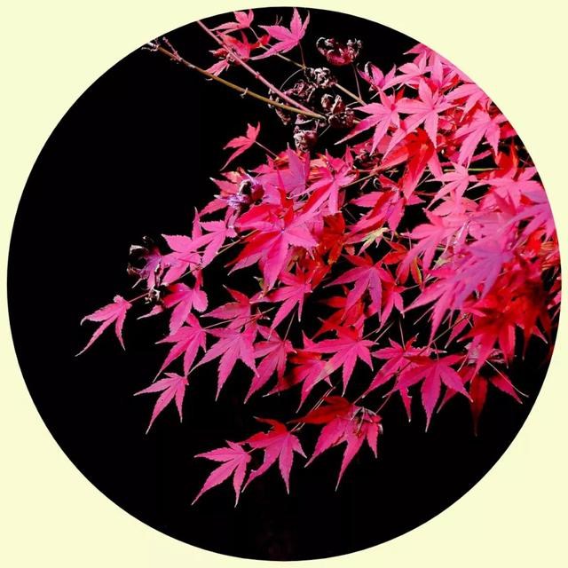 风景照片图片大全，微信头像，风景照片图片大全（令人心旷神怡的美景）