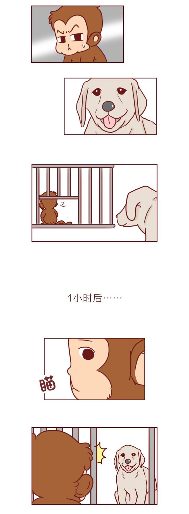 温馨的小故事，温馨的小故事哄男朋友（4个生活中暖心的故事）