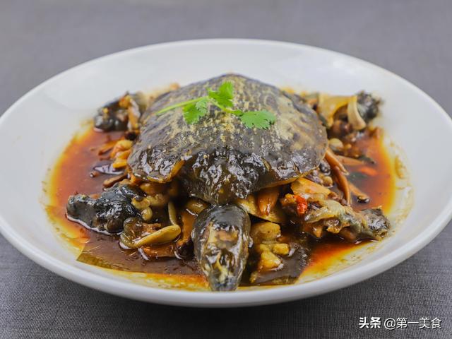 2,甲魚在家怎麼烹飪?廚師長教你簡單又好吃的做法,教程詳細無保留