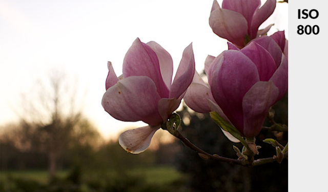 iso是什么意思，iso认证费用一般是多少（通过4步骤告诉你什么是ISO）