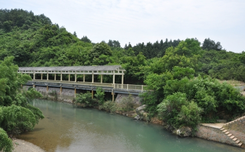常山位于什么地方，常山位于什么地方犯罪大师（浙江常山争当全面实现乡村振兴排头兵）