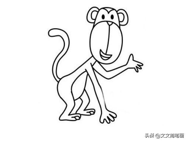 猴子简笔画，猴子简笔画 简单 可爱（小猴子的简笔画分解教程）