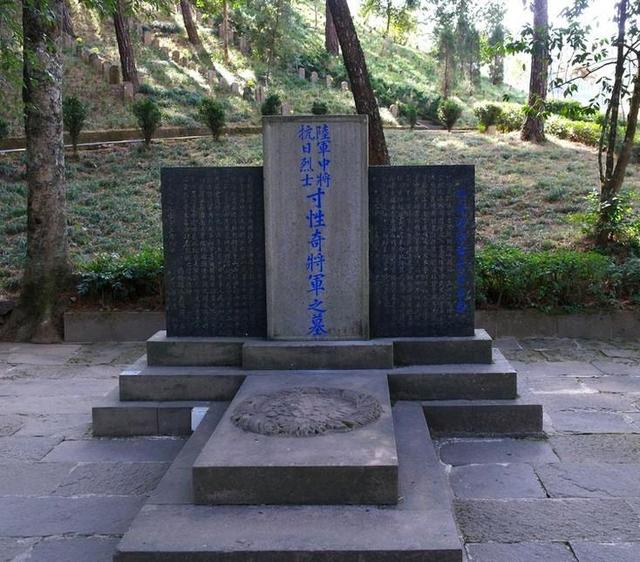 共军十大抗日名将是什么，抗日战争有哪些名将（抗战中壮烈殉国的十大名将）