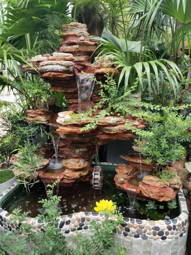 荷花最好看的品种是什么，这花最好看、最好养