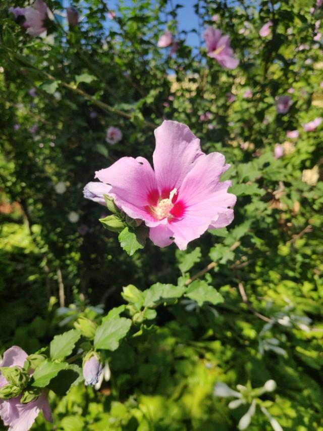 太原迎泽公园在哪儿，太原市内最大公园
