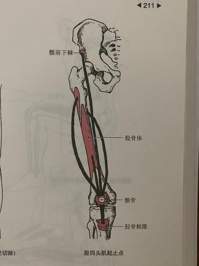 跳绳第二天小腿疼还要继续吗，跳绳第二天小腿疼还能继续吗（你需要关注和调整这些事情...）