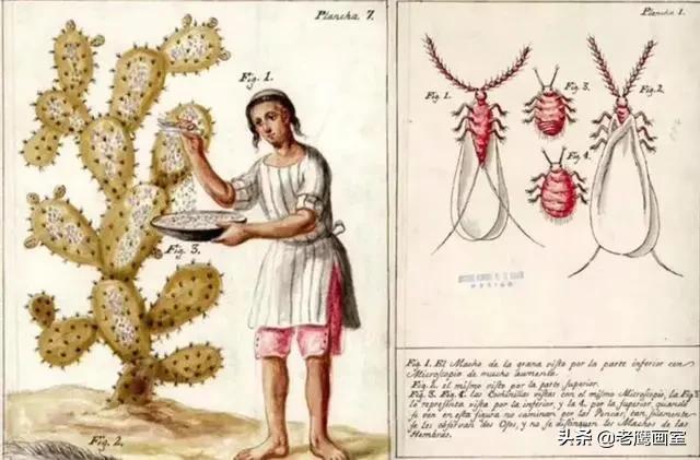 颜料是什么做的，国画颜料是什么做的（你知道最奇葩的颜料是用什么做的吗）