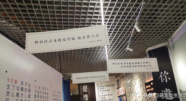 分手后最后祝福对方的话，分手后给对方祝福的话（盘点那些分手后的“祝福”）