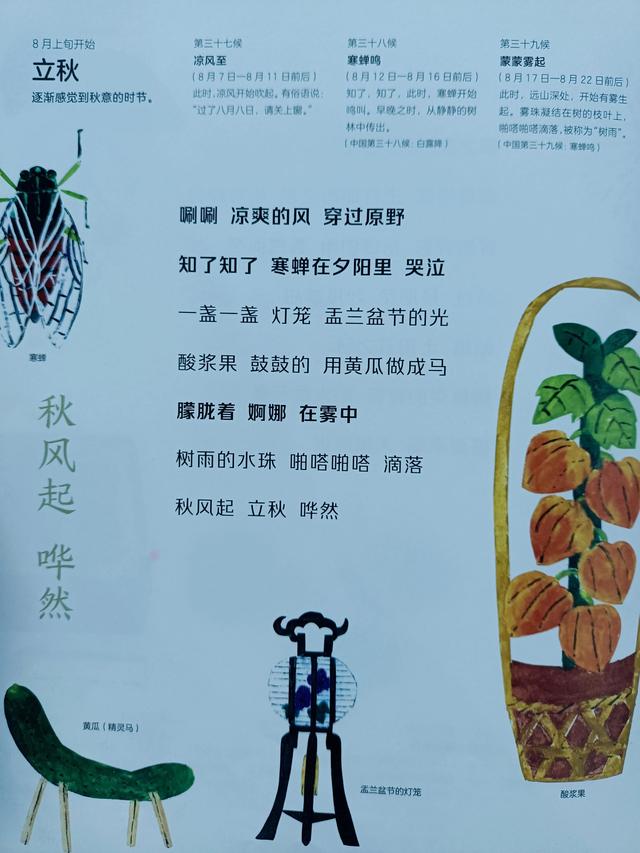 四季是按什么划分的，四季是如何划分（一年四季二十四节气）