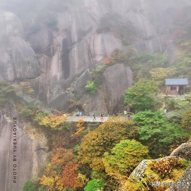 轻烟老树寒鸦什么意思，轻烟老树寒鸦前面一句是什么（不妨跟着“古诗”拍拍看）