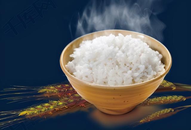 泰迪可以吃香蕉吗，3个月泰迪可以吃香蕉吗（狗狗可以吃的15种人类食物）