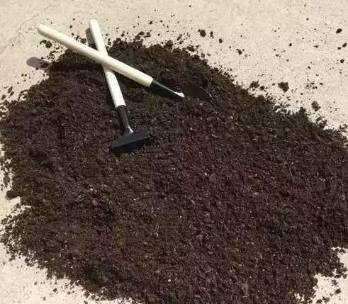 不花钱快速自制多肉土，怎样简单制作多肉植物营养土（不花一分钱）