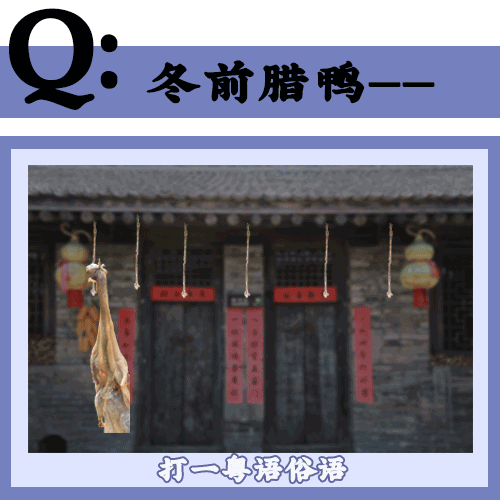 粤语常用俗语谚语，粤语俗语里面有这么多冷冷冷冷笑话