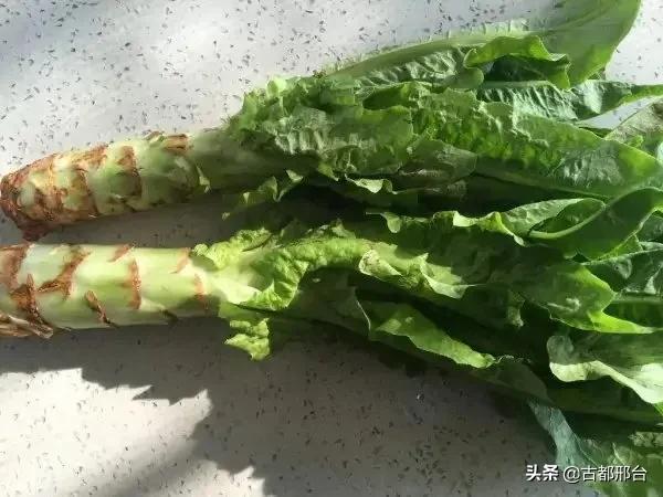 什么是卷心莴苣，卷心莴苣图片（古代邢台人最爱吃的几种蔬菜）