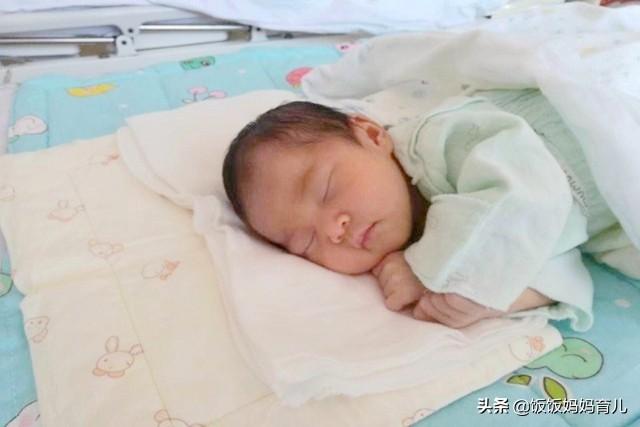 几月出生的猪宝宝最好命，农历几月份的猪宝宝最好命（19年在这几个月出生的“猪宝宝”）