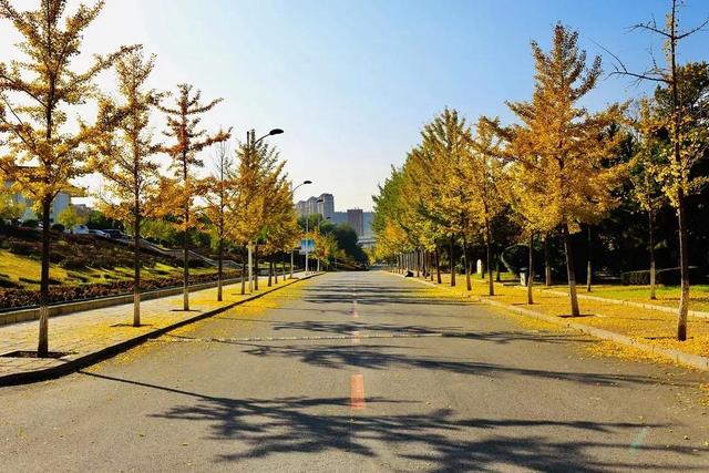 辽宁科技大学宿舍，2021年辽宁科技大学新生宿舍条件图片环境怎么样（<十五>辽宁科技大学）