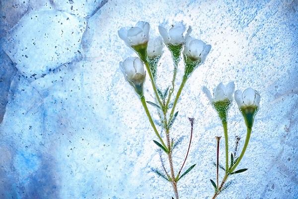 测测你的abo性别和信息素，abo是什么意思（abo信息素味道测试）