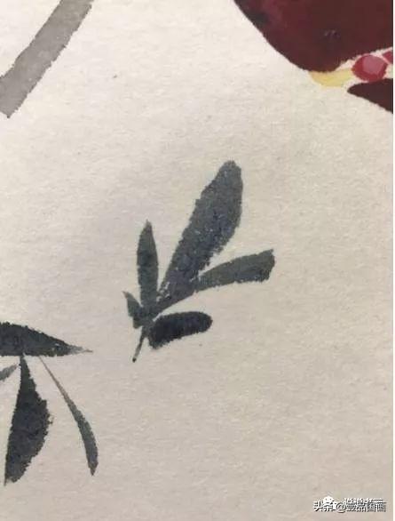 石榴简笔画画法，石榴的简笔画怎么画简单（花卉果蔬系列之石榴的写意画法）