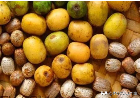 适合做手串的植物种子，适合做手串的植物种子是什么（这些路边捡的树籽儿串成手串）