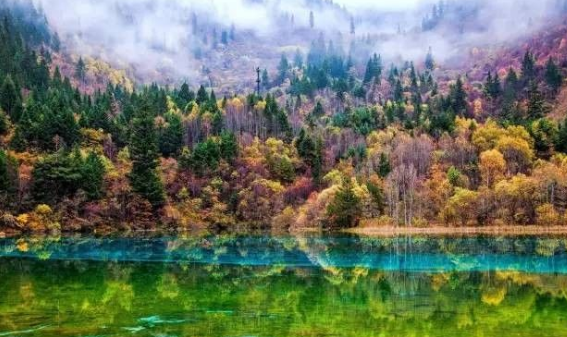 形容九寨沟美景的句子，九寨沟美景怎么形容（说走就走----记九寨沟）