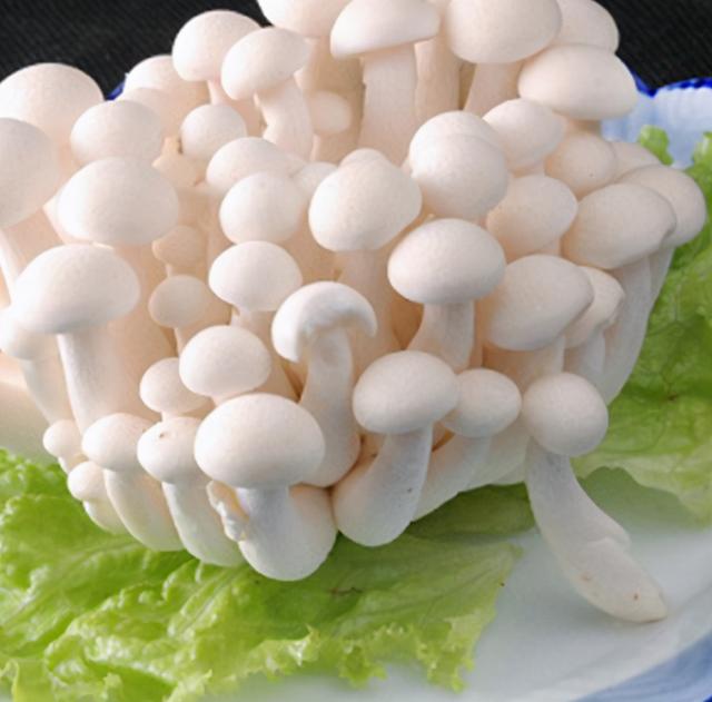 白玉菇不焯水有毒吗，白玉菇做汤用焯水吗（白玉菇这样做太美味了）