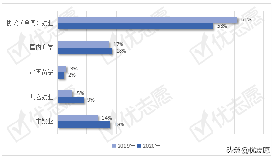 广西大学就业信息网（广西大学本科生就业情况如何）