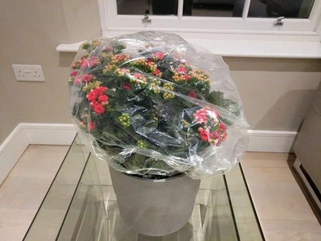 空气湿度多少合适，室内空气湿度多少正常（增加室内植物湿度的9种绝佳方法）