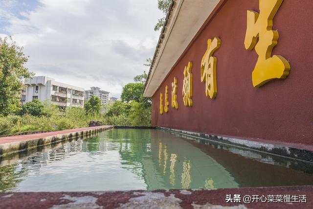 肇庆十大旅游景点之梅庵，肇庆名胜风景区（广东肇庆有个神奇的水池）