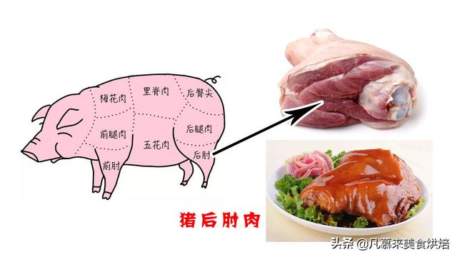什么是母猪肉，猪肉都是母猪吗（猪肉各部位图解与介绍）
