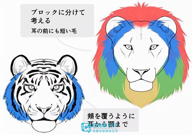 7步教你学会画老虎，7步教你学会画老虎视频（动物简单画法技巧）
