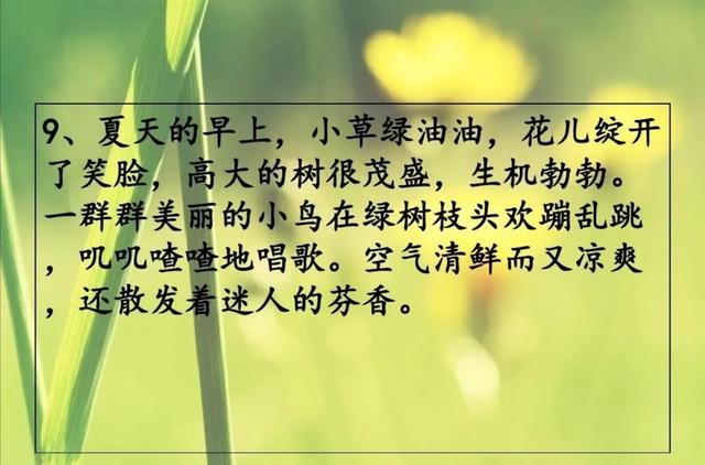 夏天的词语有哪些，描写夏天的词语有哪些（素材积累《描写夏天的好词、好句》）