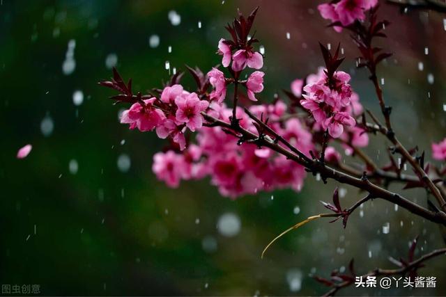 清明节吃薄饼的寓意，清明节吃薄饼的寓意是什么（这7种食物别忘了吃）