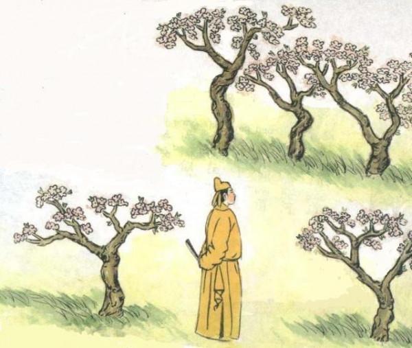 白居易是哪个朝代的诗人，白居易是哪个朝代的人（唐朝大诗人——白居易）