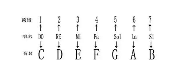 古筝有什么基本乐理知识，考古筝乐理是什么内容（初学古筝需要精通这些乐理知识）