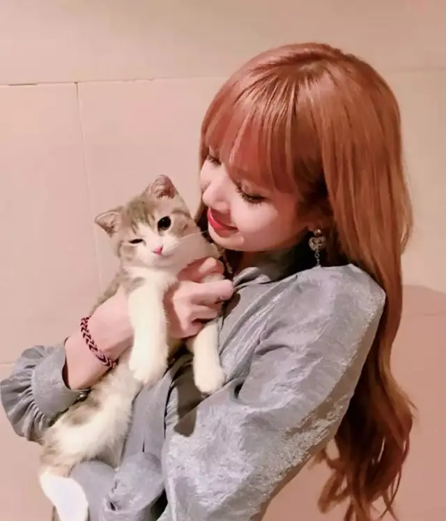 女团成员开场介绍，宝藏女团的魅力尽头在哪里