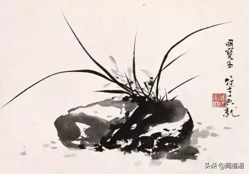 草的简笔画怎么画，猪笼草的简笔画怎么画（兰草的画法）