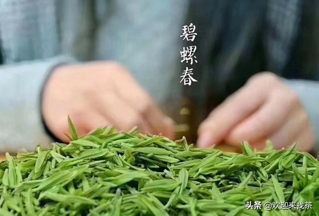 碧螺春是什么茶，百度碧螺春是什么茶（正宗的碧螺春茶是哪里产的）