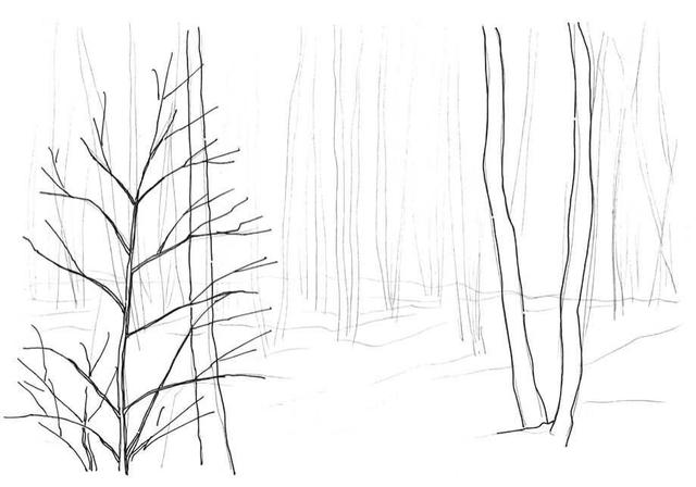 小树简笔画怎么画，小树的简笔画怎么画（教你三种常见树木画法）