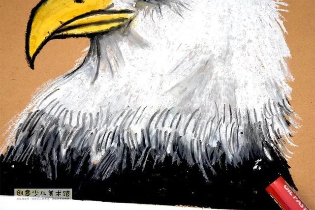 老鹰的眼睛的特点，老鹰的眼睛像什么一样锐利（油画棒色彩练习画雄鹰）