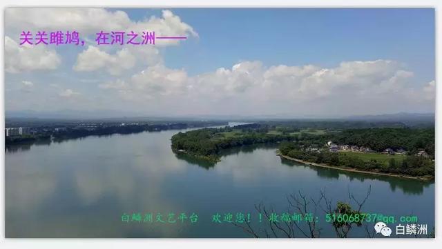 云朵资料（云朵简介，云朵的个人资料简介（随笔——楚天之云：）