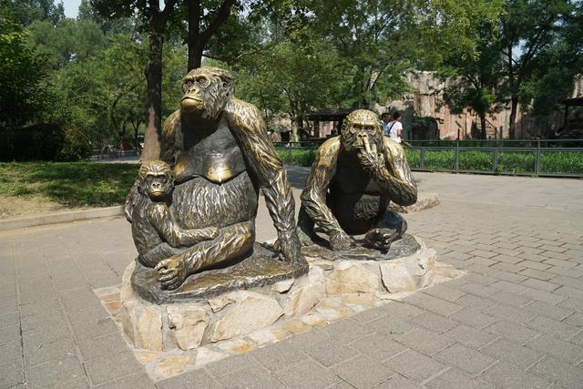 中国最大的动物园，中国动物园排名（中美动物园大PK）